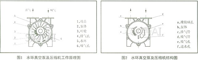 SK真空泵结构图1