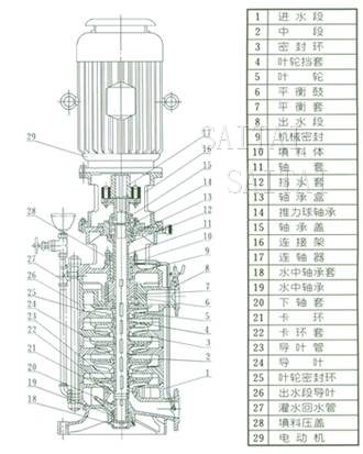 DL、DLR多级泵结构图片